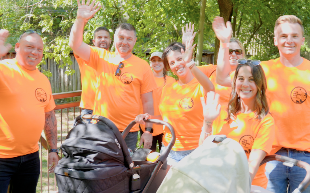 A Wild Day at the Bronx Zoo!